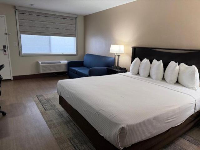 Stanford Inn & Suites Anaheim Dış mekan fotoğraf